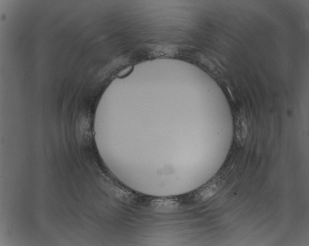 X0000062670714200601111244