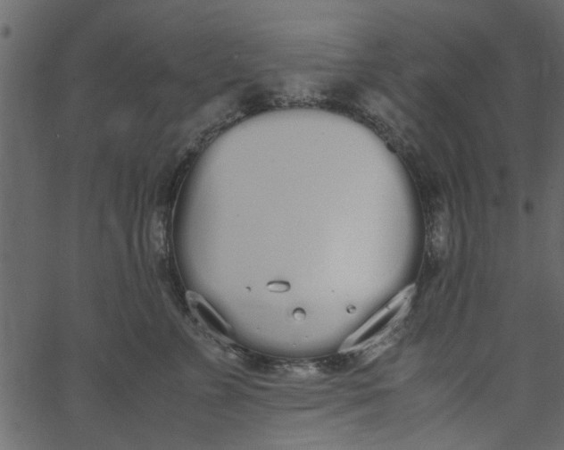 X0000062670715200601111244