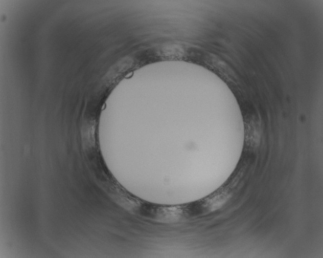 X0000062670717200601111244