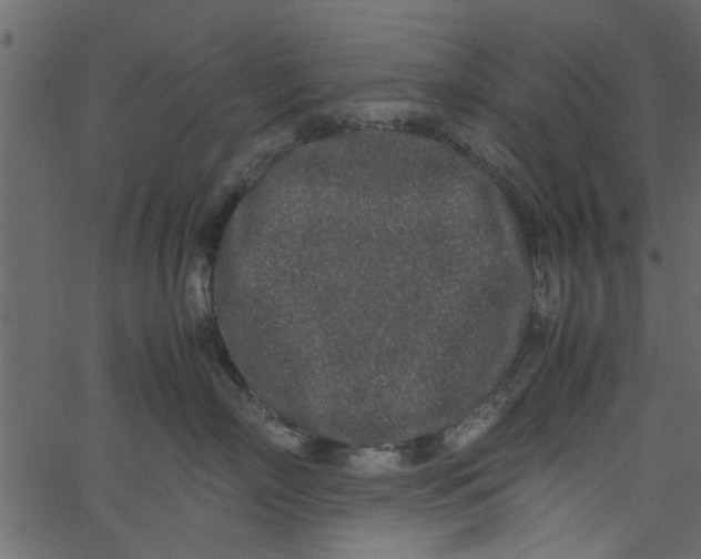 X0000062670718200601111244