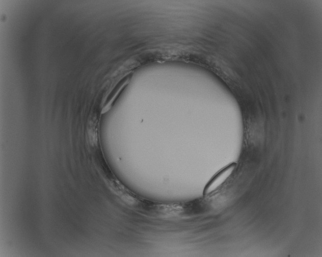 X0000062670719200601111244