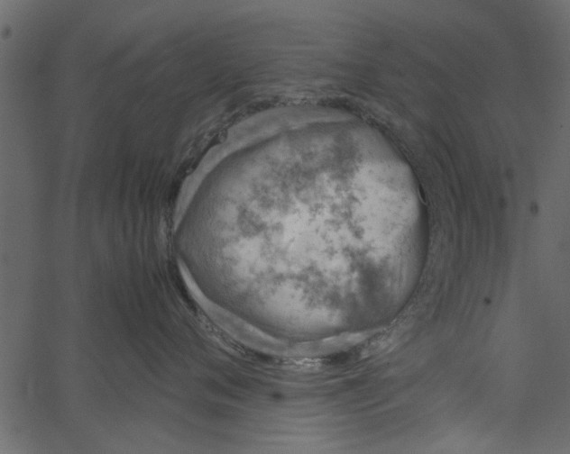 X0000062670720200601111244