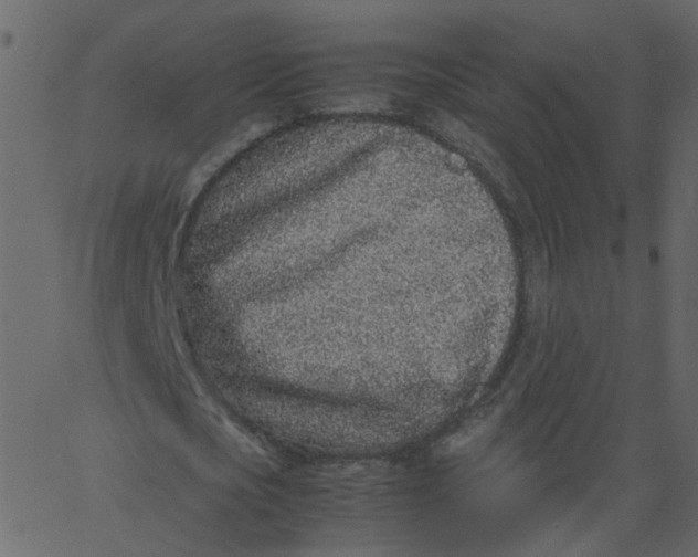 X0000062670721200601111243