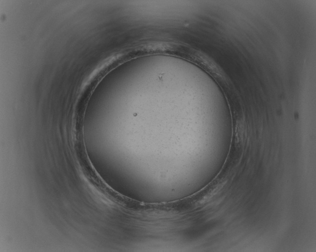 X0000062670722200601111243