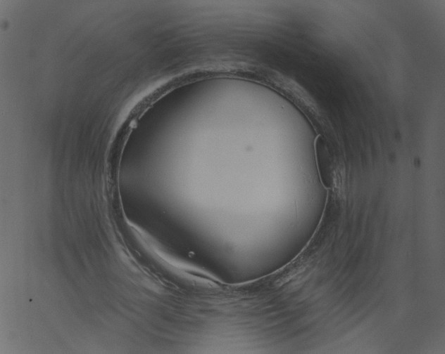 X0000062670724200601111243