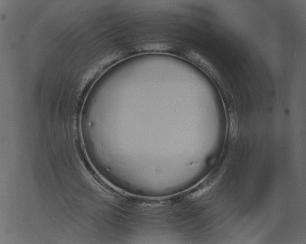 X0000062670725200601111243