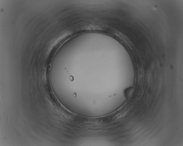 X0000062670727200601111243