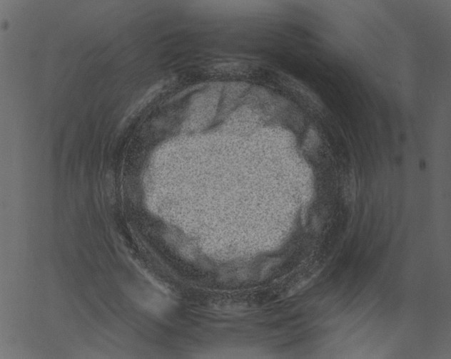 X0000062670729200601111243