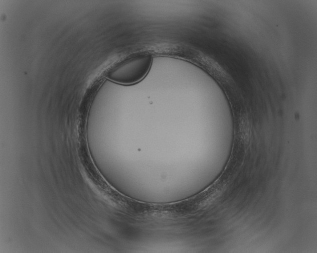 X0000062670730200601111243