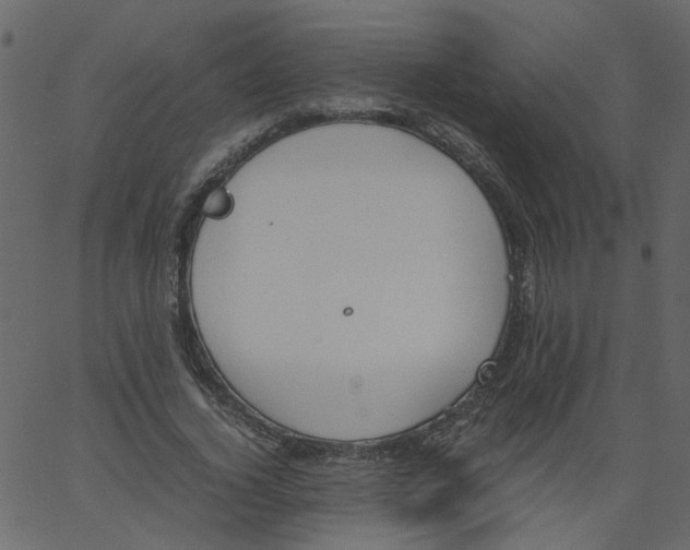 X0000062670732200601111243