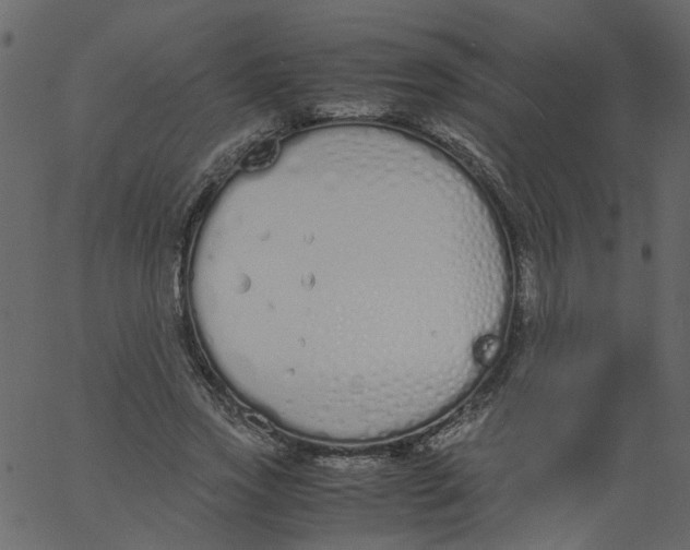 X0000062670733200601111243