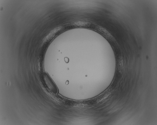 X0000062670734200601111243