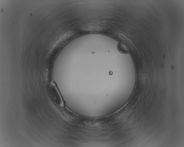 X0000062670735200601111243