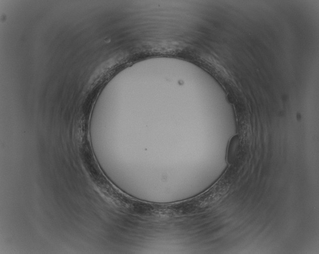 X0000062670736200601111243