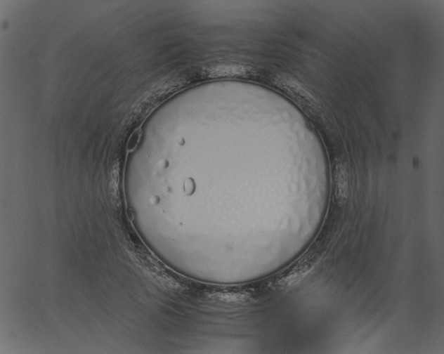 X0000062670737200601111243