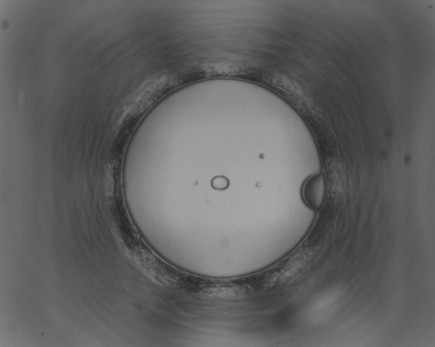 X0000062670738200601111243