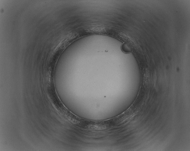 X0000062670739200601111243