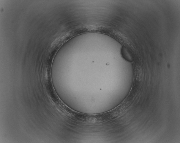 X0000062670740200601111243