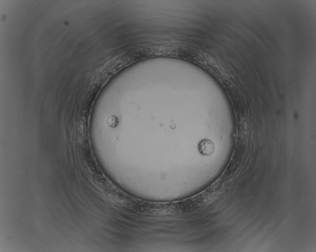 X0000062670741200601111243