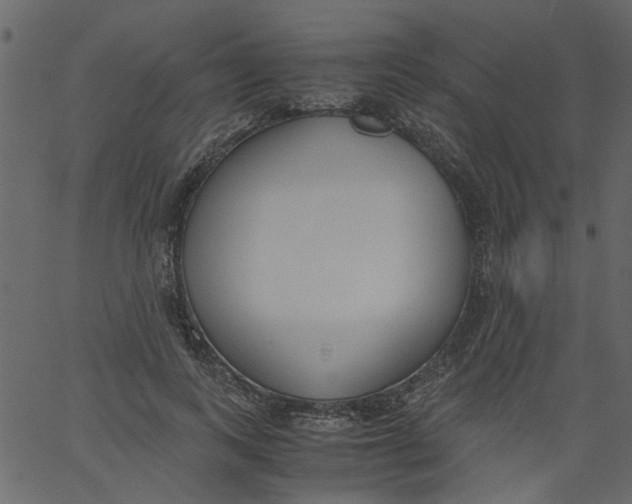 X0000062670743200601111243