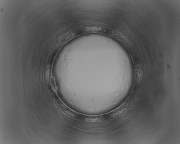 X0000062670745200601111243