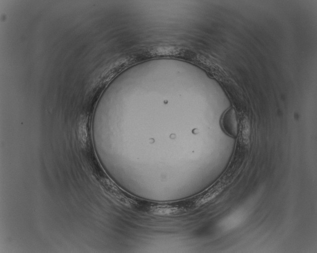 X0000062670746200601111243