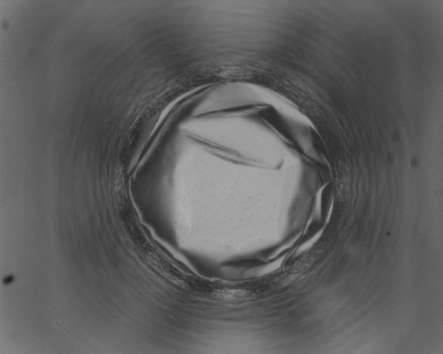 X0000062670748200601111244