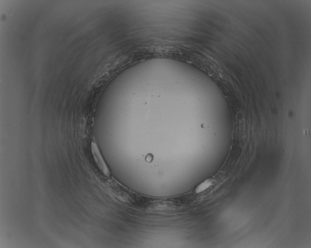 X0000062670750200601111244