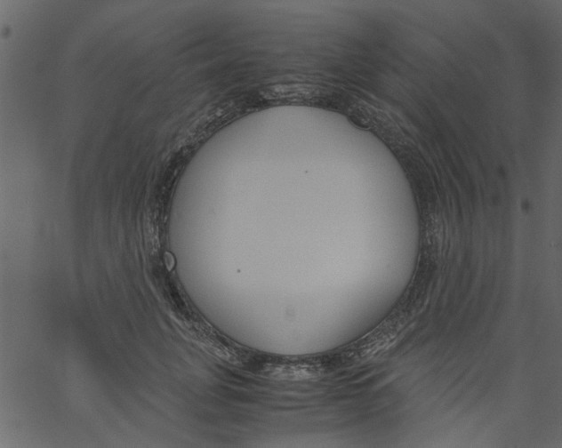 X0000062670751200601111244