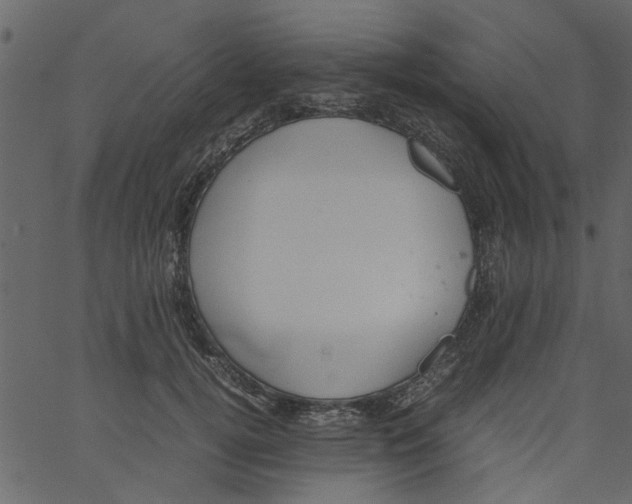 X0000062670752200601111244