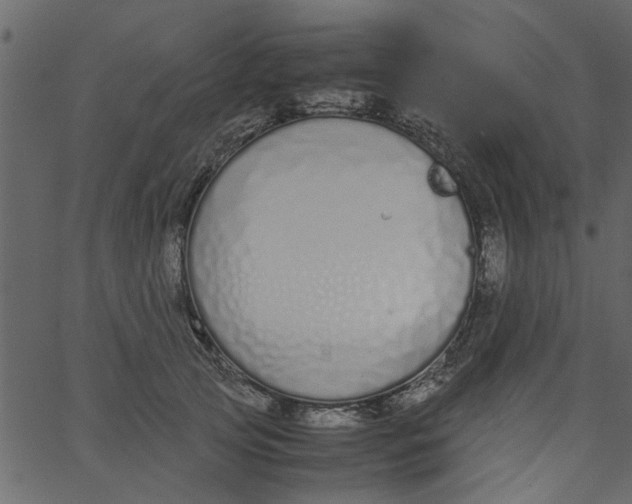 X0000062670753200601111244