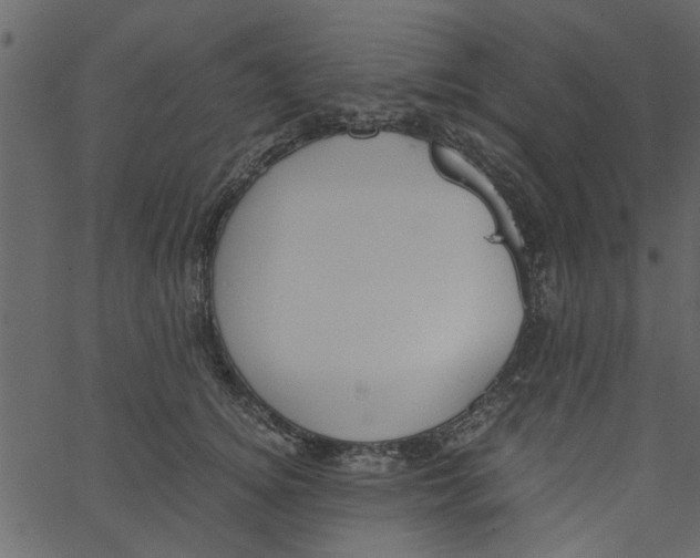 X0000062670756200601111244