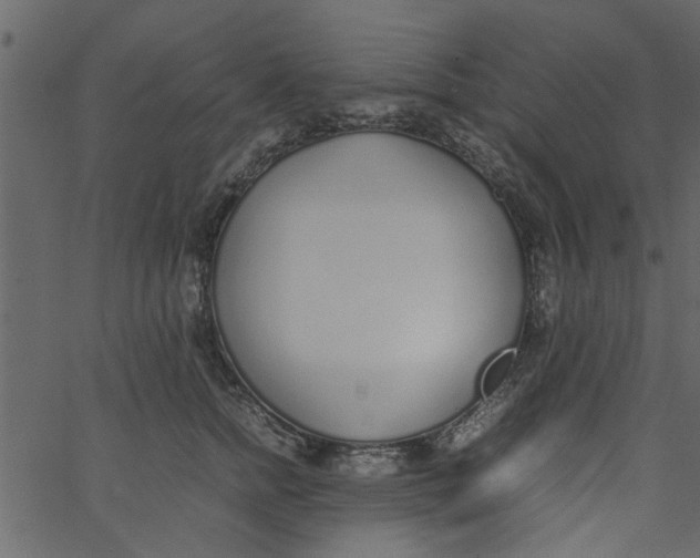 X0000062670758200601111244