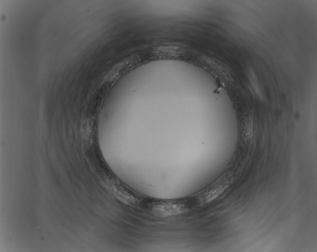 X0000062670759200601111244