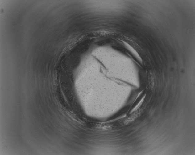 X0000062670760200601111244