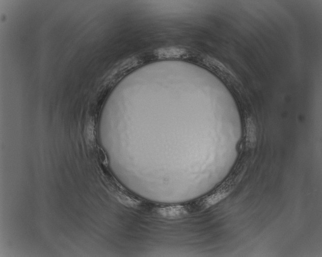 X0000062670761200601111244