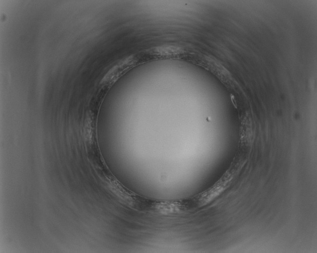 X0000062670762200601111244