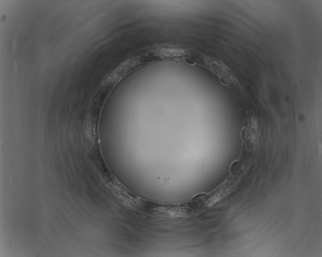 X0000062670763200601111244