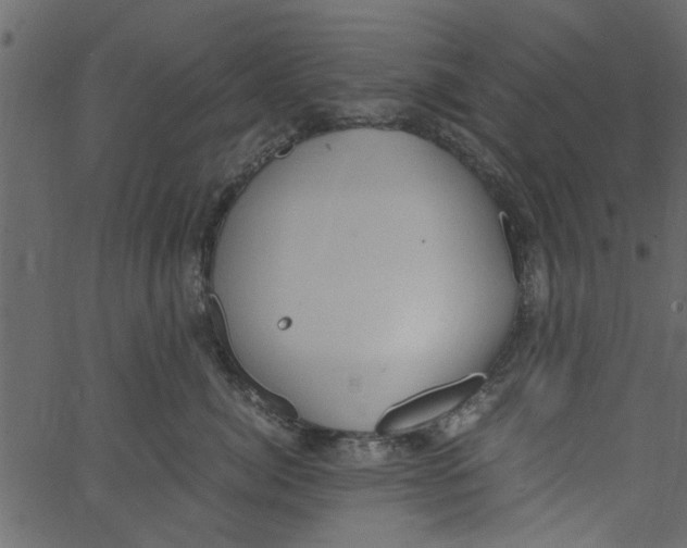 X0000062670764200601111244