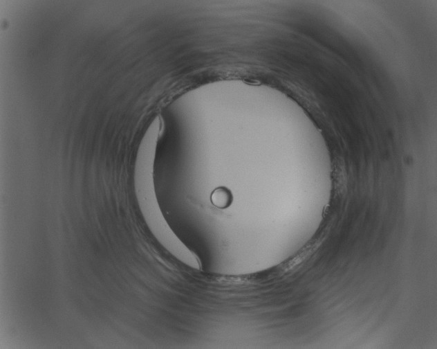 X0000062670766200601111244