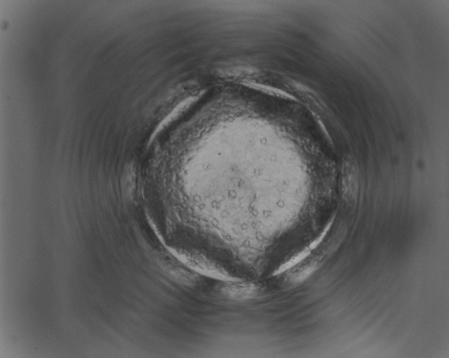 X0000062670767200601111244