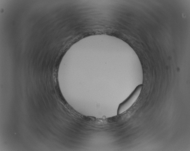 X0000062670768200601111244