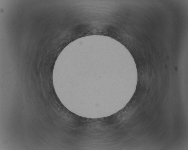 X0000062670769200601111243