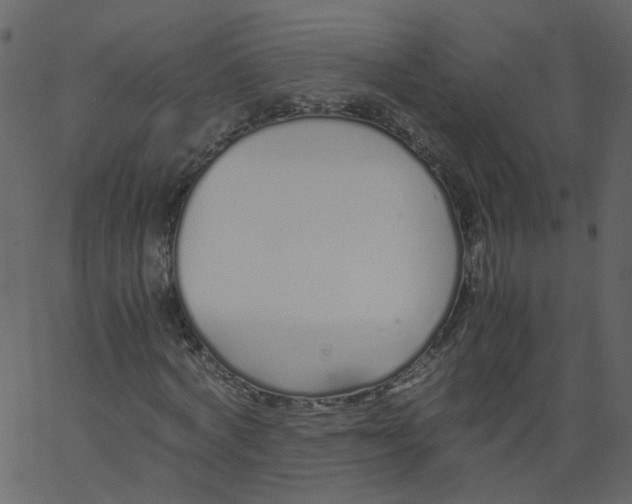 X0000062670772200601111243