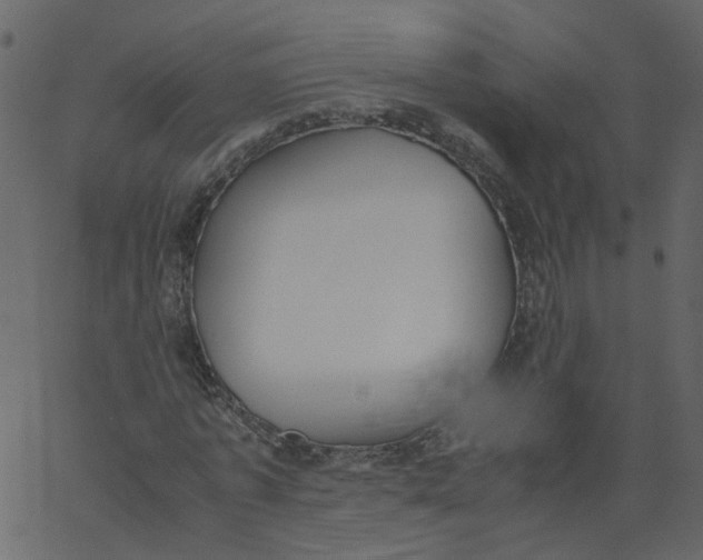 X0000062670773200601111243