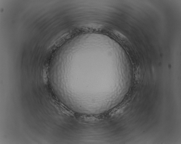 X0000062670774200601111243