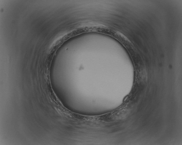 X0000062670775200601111243