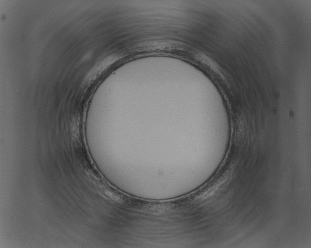 X0000062670778200601111243