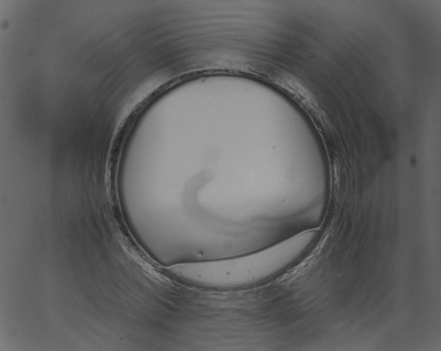 X0000062670780200601111243