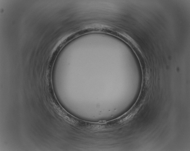 X0000062670783200601111243